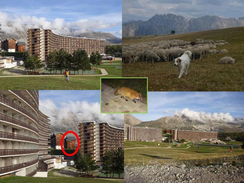 Appartement 8-10 Personnes Superdevoluy Hautes Alpes Rez De Chaussee Vue Panoramique 3 Chambres Ле-Деволюї Екстер'єр фото