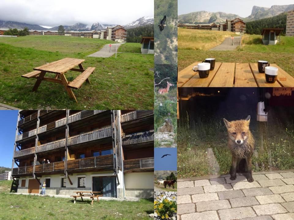 Appartement 8-10 Personnes Superdevoluy Hautes Alpes Rez De Chaussee Vue Panoramique 3 Chambres Ле-Деволюї Екстер'єр фото